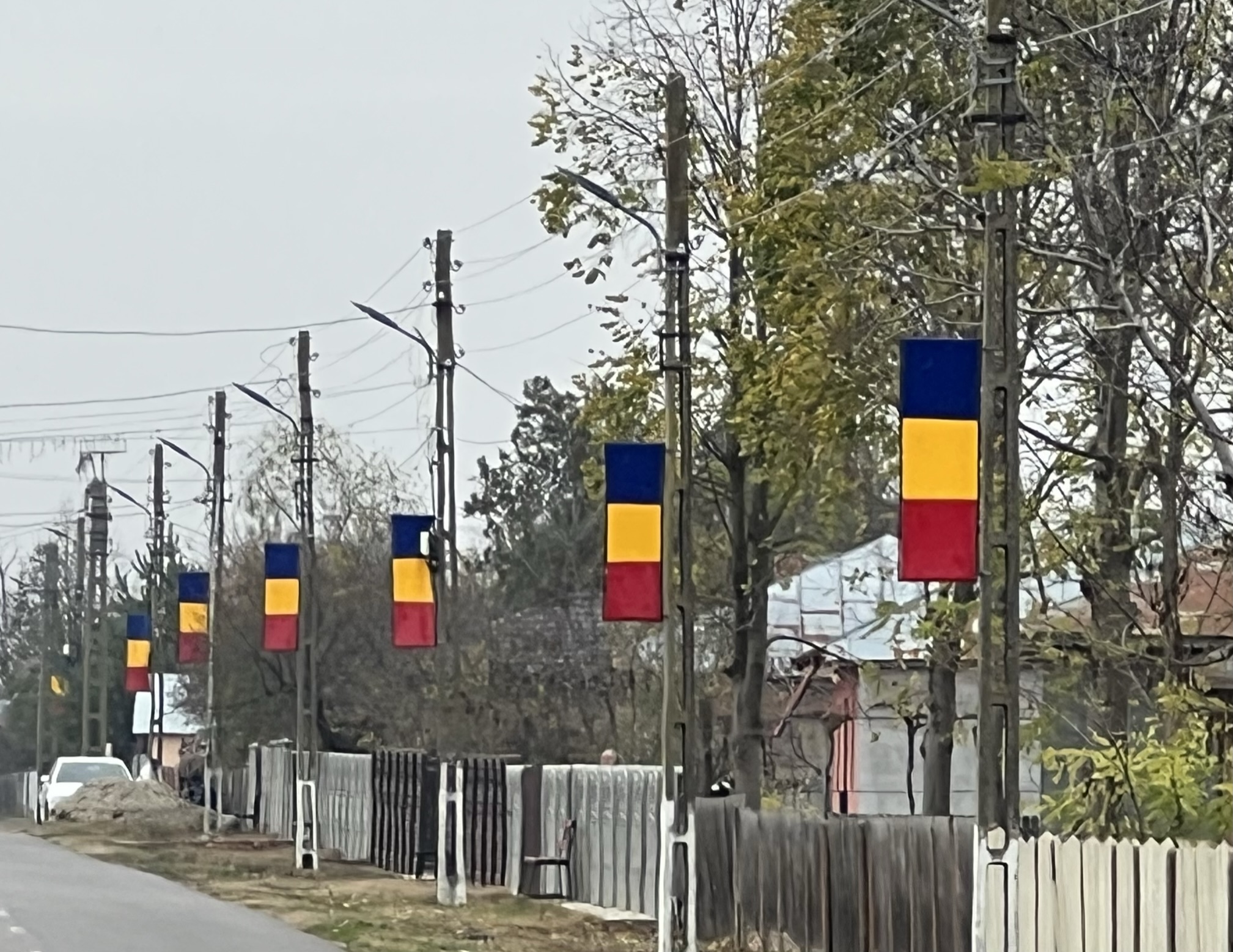 Steag tricolor cu grilaj metalic 150x50 cm - imagine 4