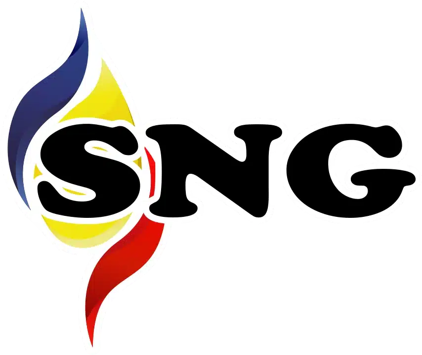 SteaguriSNG