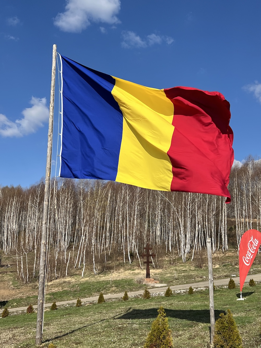 Steag Romania 300x200 cm premium - imagine 3