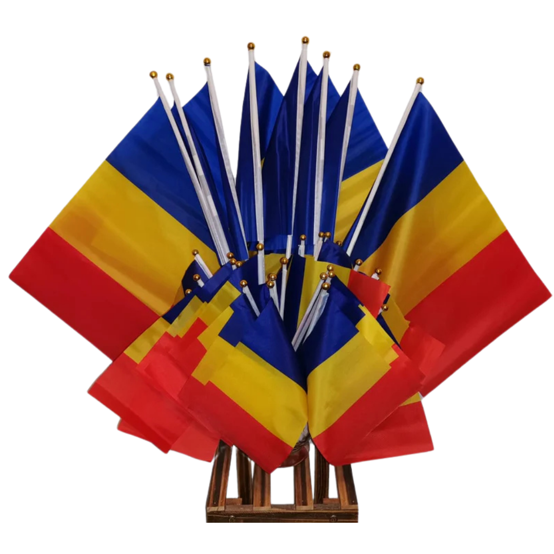 Steguleț România cu băț plastic 45x30 cm