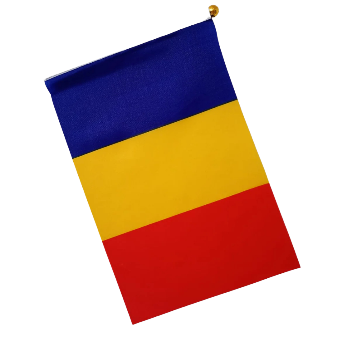 Steguleț România cu băț plastic 45x30 cm - imagine 2